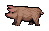 Pig Pig