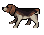 Dog.png