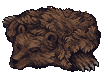 Bear Pelt
