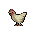 Chicken Chicken