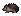Hedgehog Hedgehog
