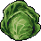 Cabbage