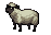 Sheep Sheep