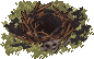 Harpies Nest2.png